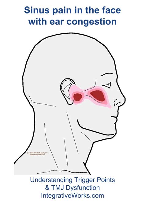 Sinus pain in the face & ear congestion | Integrative Works