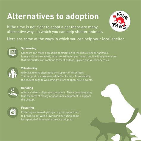 Alternatives To Having A Pet