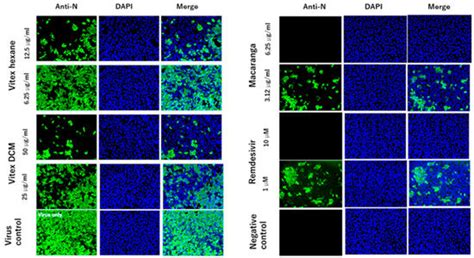 Pathogens | An Open Access Journal from MDPI