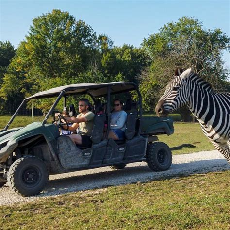 Hotel Near Aikman Wildlife Adventure - Stay Illini