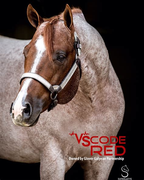 Image result for vs Code Red