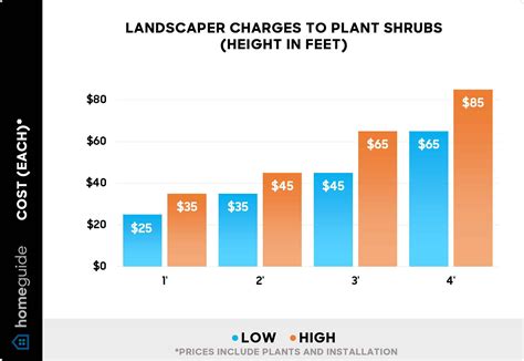 How Much Do Landscapers Charge to Plant Shrubs, Flowers, and Bushes? (2026)