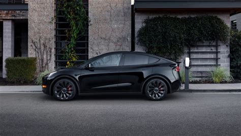 Tesla Model Y Best Color 的图像结果