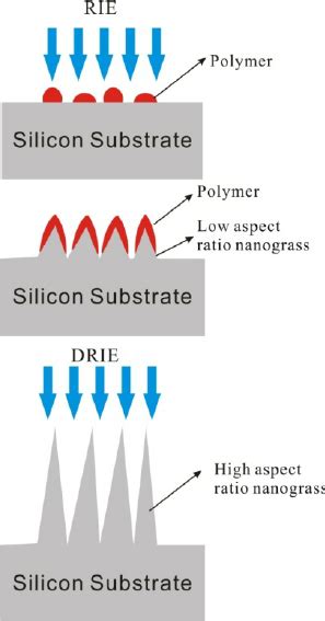 Grassyarn Process 的图像结果