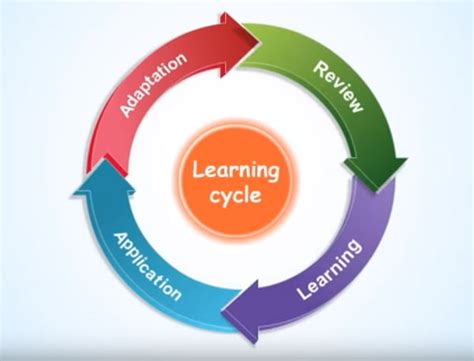 Learning Cycle 的图像结果