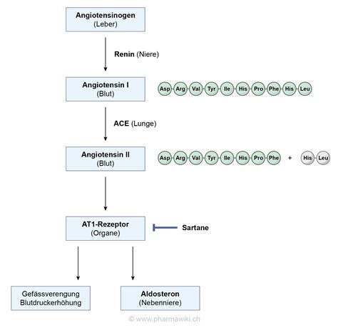 Bildergebnis für sacubitril wirkmechanismus