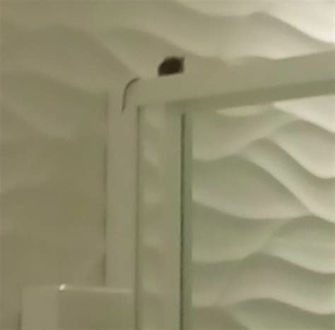 HOTEL PRINCE ALBERT WAGRAM (Paris) - Hotel Reviews, Photos, Rate ...