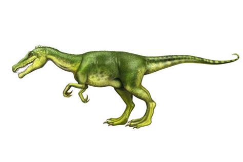 What science reveals about dinosaurs: facts and discoveries