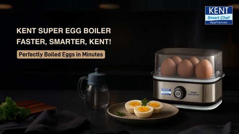 KENT Super Egg Boiler, Stainless Steel Body & Heating Plate Automatic ...