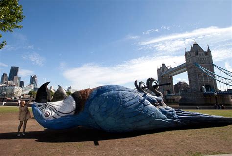 Image result for Monty Python Perroquet