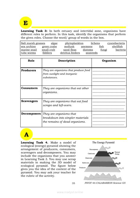 Image result for Science Module Grade 5