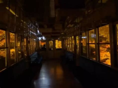 Train Ride Across Japan's 'Maple Tunnel' Has Internet In Awe