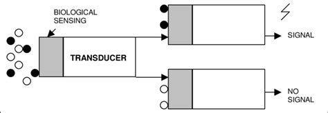 Image result for How Does a Biosensor Work