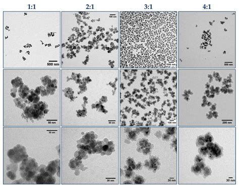 Surface Functionalization of Magnetic Nanoparticles Using a Thiol-Based ...