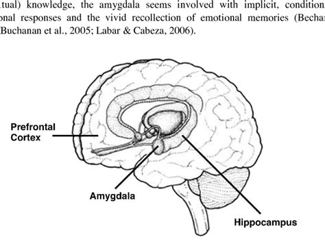 Image result for Memory Processing