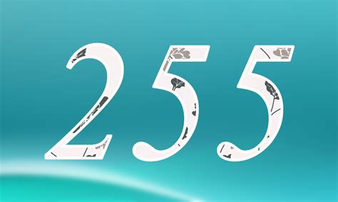 255是什么意思，255数字是什么意思？