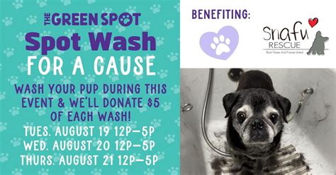 Spot Wash for a Cause - The Green Spot, The Green Spot Omaha, 19 August ...
