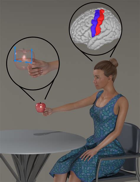 Image result for Neural Control Mechanism