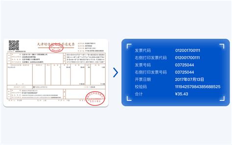 How to Start a Python Script 的图像结果