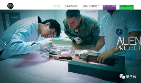 Alien Amnesty 的图像结果