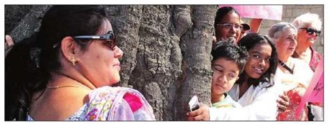 Apps: Coming Soon: An app to map Bengaluru's shrinking green cover ...