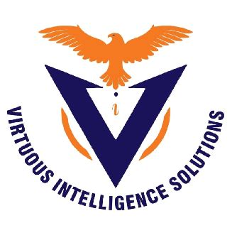 Virtuous Intelligence Solutions