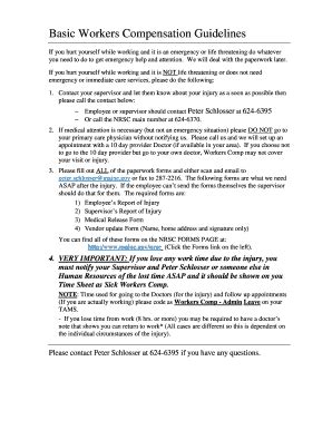 Fillable Online maine Basic Workers Comp Guidelines (pdf) - maine Fax ...
