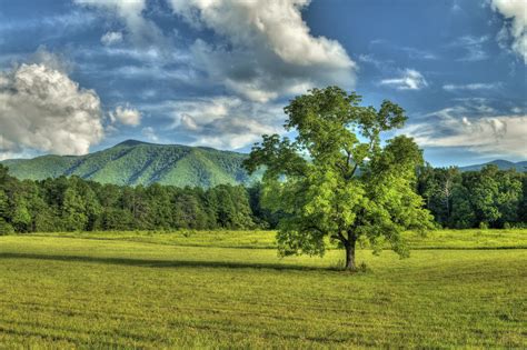 Cades Cove Loop Road in Great Smoky Mountains National Park - Travel ...