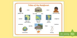 Rainforest Tribes Facts – People in the Amazon Rainforest