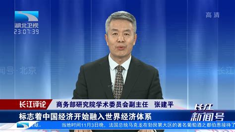 [长江新闻号]推进高水平对外开放 中国是“行动派”！第四届进博会参展国别和企业数均超过上届|新闻来了 News Daily - YouTube