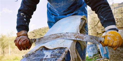 Image result for Parchment Making