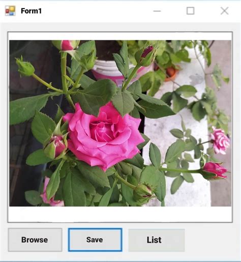 Upload Visual Basic Program in Server 的图像结果
