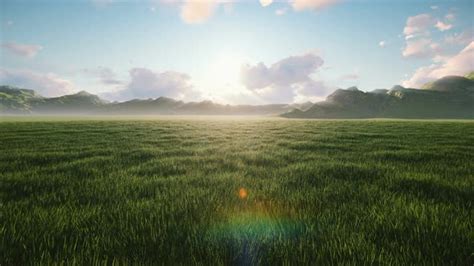 Image result for Nature Motion Graphics