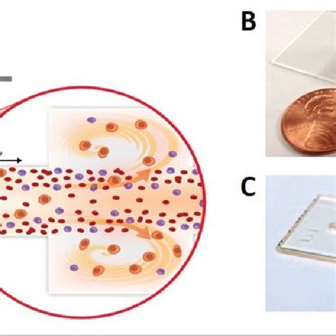Image result for Vortex Chip Install