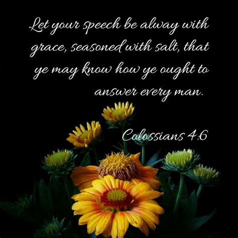 Colossians 4:6 KJV | Colossians, Colossians 4 6, Kjv