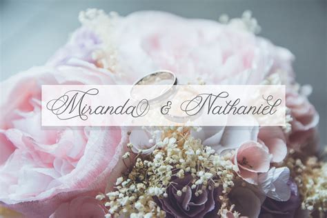 Fancy Script – MasterBundles