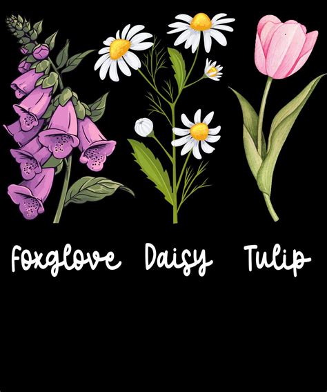 Foxglove Daisy Tulip Flowers PNG, Floral Political Art Women Men PNG ...