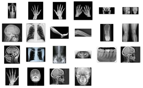 Image result for Ray File Format