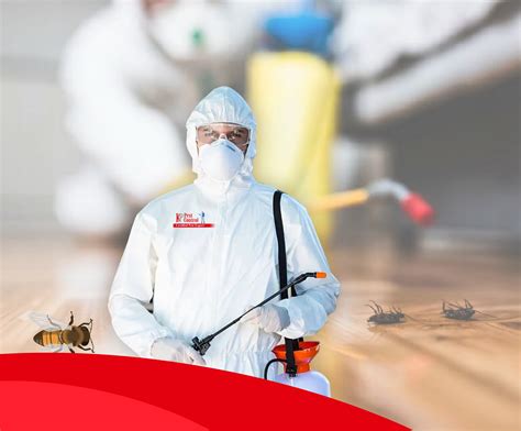 KP Pest Control: Certified Experts in Eradicating Pests