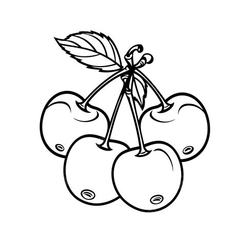 Cherries Coloring Para Colorear Cerezas Kirschen Dibujo Malvorlage ...