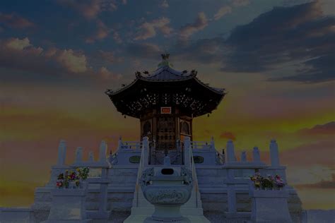 Python Scripting Challenges に対する画像結果