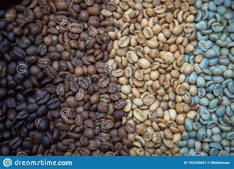 Different Coffee Beans Forming Beautiful Organic Texture Stock Image ...