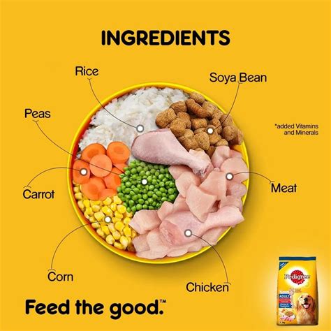 Pedigree Chicken & Vegetables Adult Food Online at Best Price