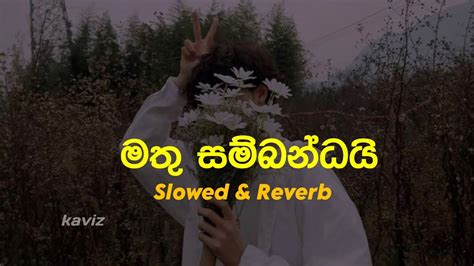 Mathu Sambandai 的图像结果