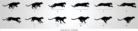 Image result for Tiger Run Cycle Animation