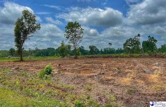 Latta SC Real Estate & Homes for Sale - Homes.com