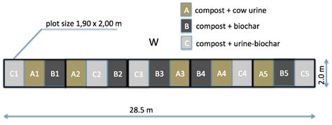 Fourfold Increase in Pumpkin Yield in Response to Low-Dosage Root Zone ...