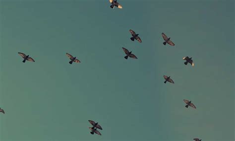 Image result for Software Developer Design Patterns