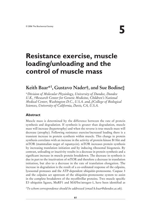 Image result for Gradual Loading On Muscle