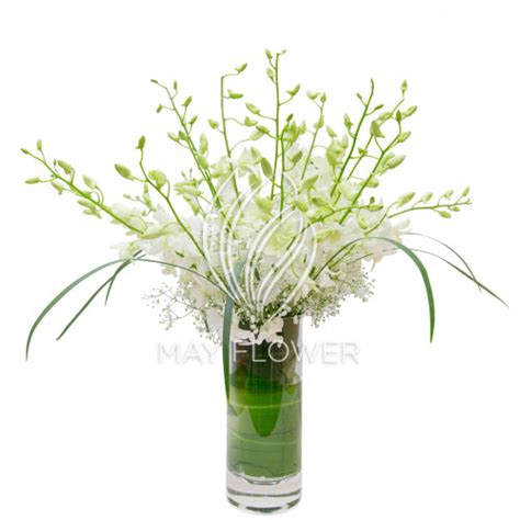 Orchid Overflow Glass Vase Bouquet – May Flower